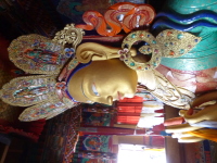 P1010516.jpg