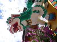 P1010520.jpg
