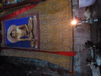 P1010523.jpg