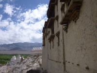 P1010542.jpg