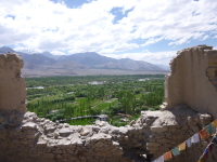 P1010544.jpg