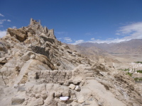 P1010554.jpg