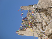 P1010555.jpg