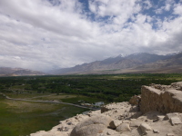 P1010558.jpg