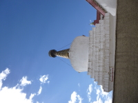 P1010560.jpg