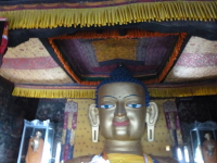 P1010564.jpg