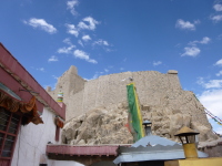 P1010566.jpg
