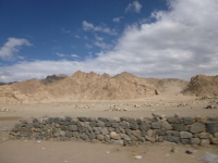 P1010574.jpg