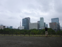 P1020654.jpg