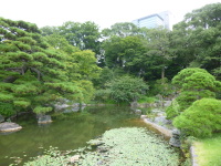 P1020656.jpg