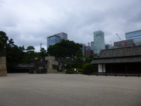 P1020663.jpg