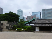 P1020665.jpg