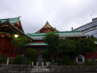 P1020666.jpg