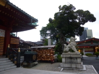P1020670.jpg