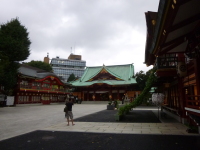 P1020685.jpg