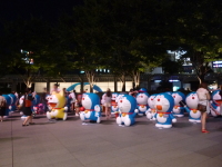P1020689.jpg