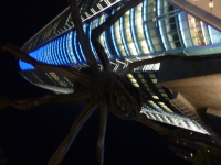 P1020690.jpg