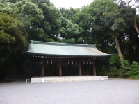 P1020696.jpg