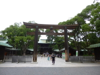 P1020697.jpg