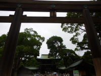 P1020699.jpg