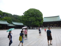 P1020703.jpg