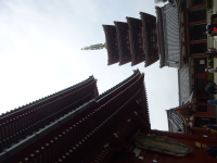 P1020718.jpg