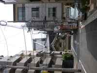 P1020733.jpg