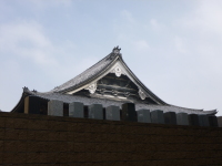 P1020734.jpg