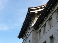 P1020757.jpg