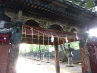 P1020760.jpg