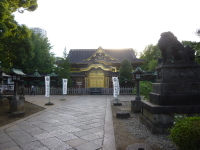 P1020765.jpg
