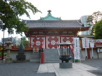 P1020790.jpg