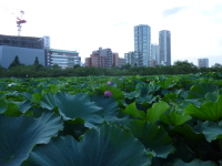 P1020797.jpg