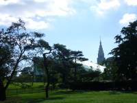 P1020798.jpg