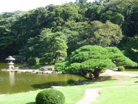 P1020801.jpg