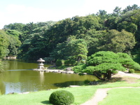 P1020803.jpg