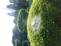 P1020815.jpg