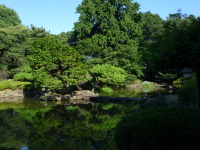 P1020817.jpg