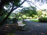 P1020818.jpg