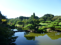 P1020823.jpg