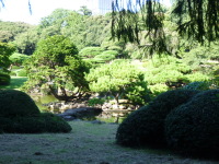 P1020824.jpg