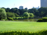 P1020829.jpg