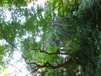 P1020834.jpg
