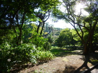 P1020835.jpg