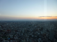P1020836.jpg