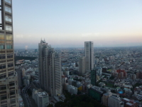 P1020837.jpg
