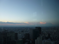 P1020841.jpg