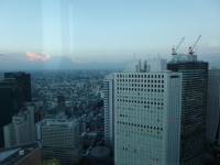 P1020842.jpg