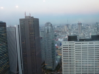 P1020844.jpg