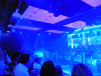 P1020853.jpg